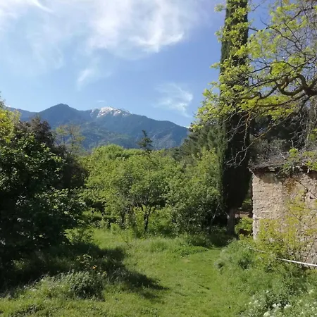 La Grange Aux Hirondelles Laroque-des-Alberes
